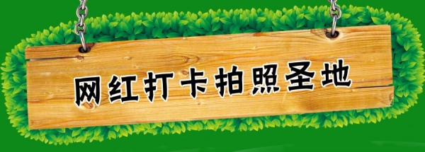 赤峰羊駝萌寵體驗(yàn)館電話號(hào)碼-第1張圖片