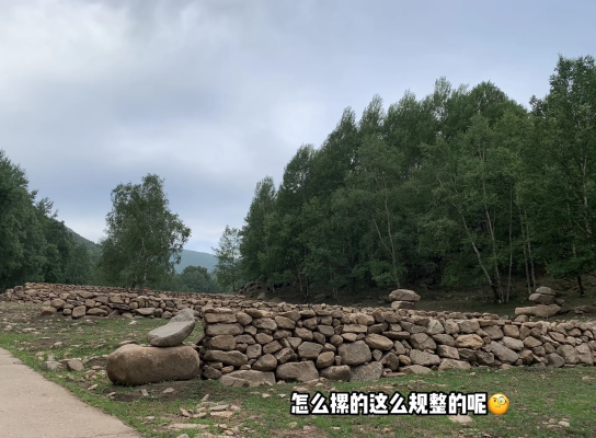 赤峰游牧羊團(tuán)購電話多少號-第1張圖片