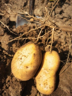 赤峰烏敦套海蒙餐館電話號碼-第1張圖片