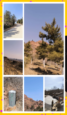 赤峰光聲顯微鏡公司電話號(hào)碼-第1張圖片