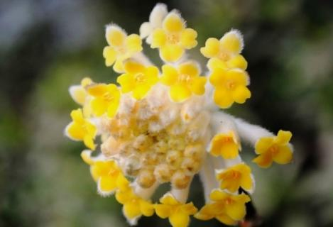 赤峰花町美植店電話地址查詢-第1張圖片