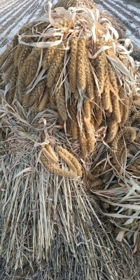 赤峰二手小米手機(jī)電話號(hào)碼-第1張圖片