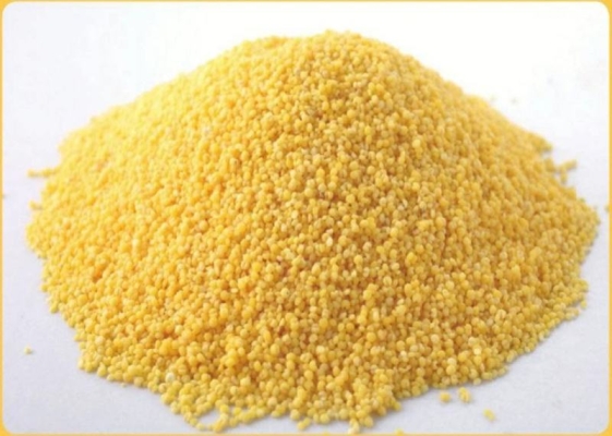 赤峰市林東小米毛毛谷電話號碼-第1張圖片