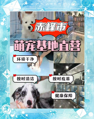 赤峰貓洗澡團(tuán)購電話是多少號-第1張圖片