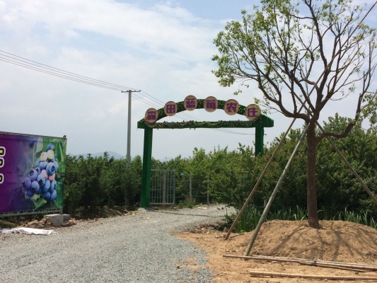 赤峰市藍(lán)莓采摘園電話地址查詢-第1張圖片