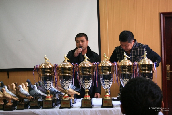 赤峰宇航鴿舍電話號(hào)碼查詢是多少-第1張圖片