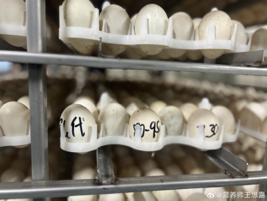 赤峰新城團(tuán)購熟食店電話號碼-第1張圖片