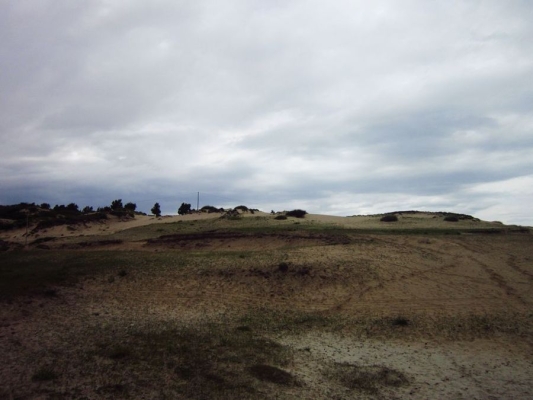 赤峰元寶山蝦店電話號碼查詢-第1張圖片