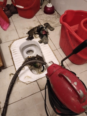 赤峰羊駝清洗公司電話號碼查詢-第1張圖片