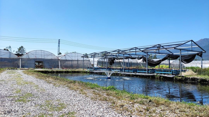 赤峰愛(ài)鬧工作室招聘電話號(hào)碼-第1張圖片