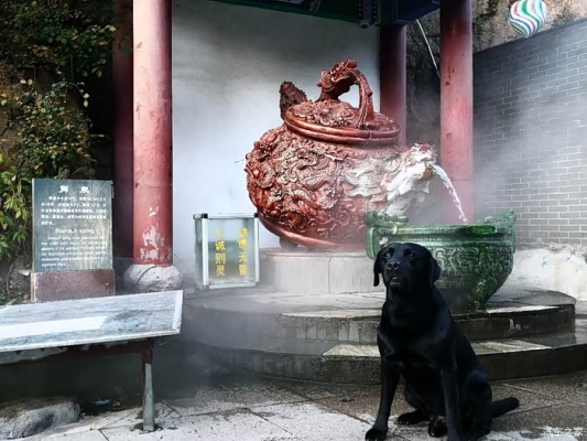 赤峰市溫泉訂票平臺電話號碼-第1張圖片