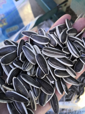 赤峰開魯大種子公司電話號碼-第1張圖片