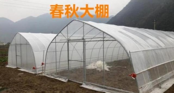 赤峰市建昌營拆大棚電話號碼-第1張圖片