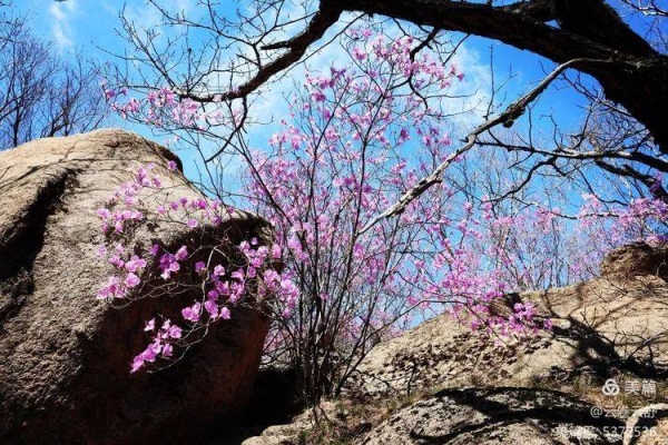 赤峰寧城縣中公教育電話號(hào)碼-第1張圖片