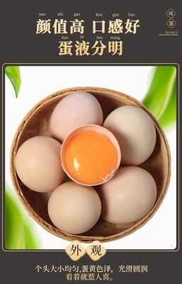 赤峰雞蛋禮盒批發(fā)市場電話號(hào)碼-第1張圖片