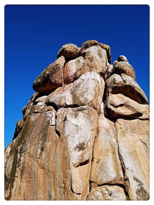 赤峰玉龍收藏家電話號(hào)碼查詢-第1張圖片