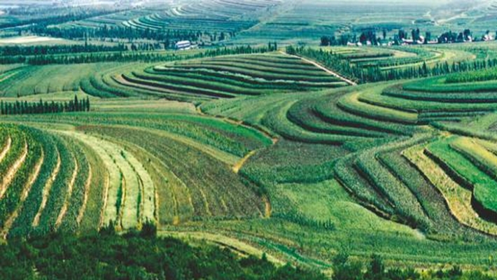 赤峰市敖漢旗獸醫(yī)站電話號碼-第1張圖片