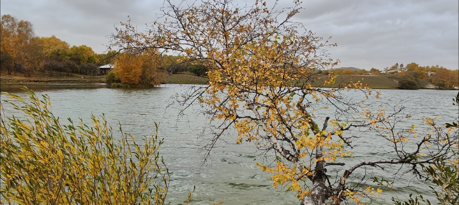 赤峰西格理發(fā)店電話地址查詢-第1張圖片