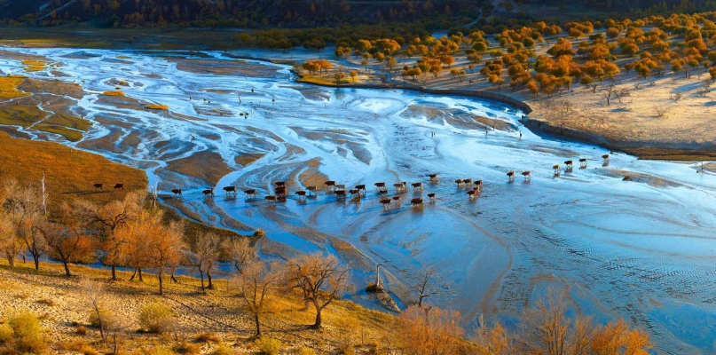 赤峰壩上旅行團團長電話號碼-第1張圖片