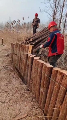 赤峰木樁加工廠家電話號(hào)碼-第1張圖片