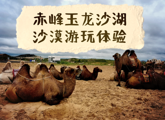 赤峰名爵會所電話號碼多少號-第1張圖片