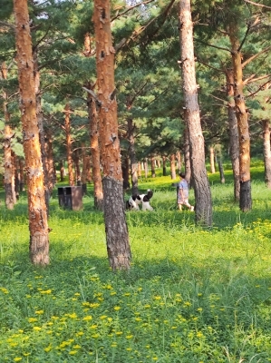 赤峰植物動(dòng)物園電話號(hào)碼查詢-第1張圖片
