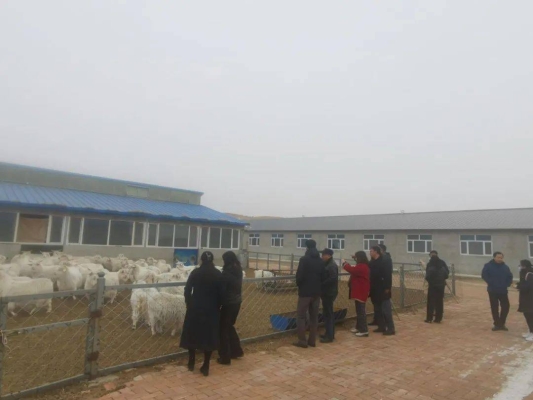 赤峰羊絨收購商家電話號碼是多少-第1張圖片