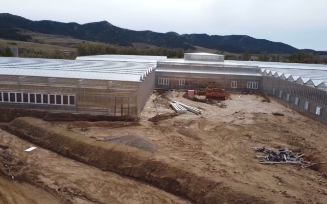 赤峰市租賃大棚電話多少號-第1張圖片