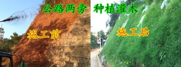 赤峰噴播機(jī)出租電話號(hào)碼查詢-第1張圖片