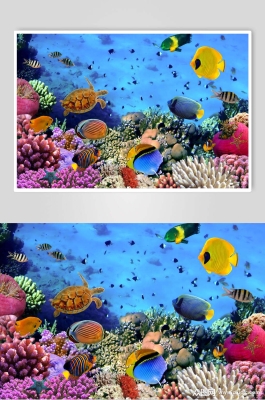 赤峰熱帶魚(yú)館電話號(hào)碼多少-第1張圖片