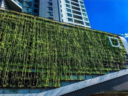 赤峰植物墻廠家電話號碼查詢-第1張圖片