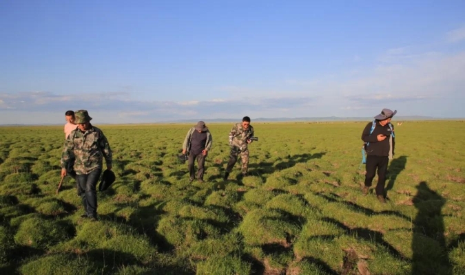 赤峰新后宮美業(yè)電話號碼多少-第1張圖片