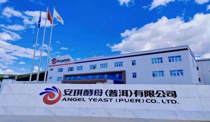 赤峰安琪母液專賣店電話號(hào)碼-第1張圖片