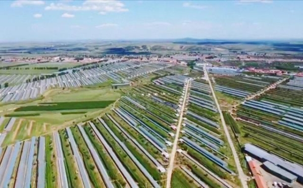 赤峰大城子機(jī)車市場(chǎng)電話號(hào)碼-第1張圖片