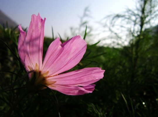 赤峰佳能專賣店電話號(hào)碼查詢-第1張圖片