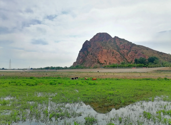 北京至赤峰物流專線-第1張圖片