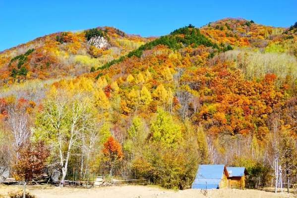 赤峰道須溝農(nóng)家院電話號碼-第1張圖片