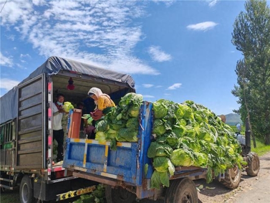 赤峰移動(dòng)式卸貨平臺(tái)電話號(hào)碼-第1張圖片