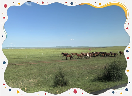 赤峰純泥紅磚廠電話號碼查詢-第1張圖片