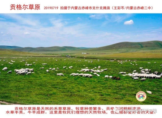 赤峰市賣冰塊的地方電話號碼-第1張圖片