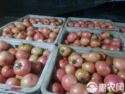 赤峰鉛鋅精粉批發(fā)電話號碼-第1張圖片