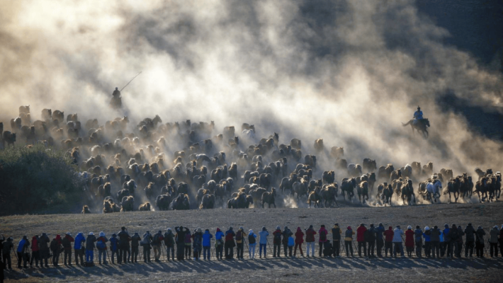 赤峰工字鋼公司電話多少號-第1張圖片