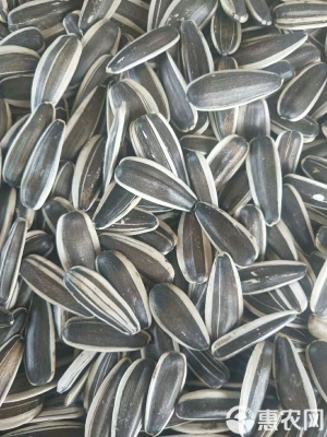 赤峰谷康批發(fā)市場電話號碼-第1張圖片