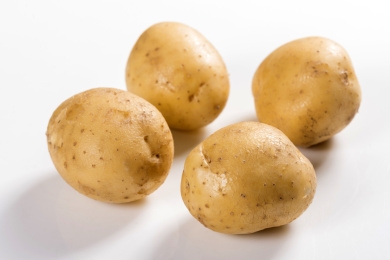 赤峰市土豆干糧廠家電話號碼-第1張圖片