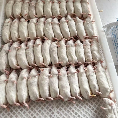 赤峰市飼料廠出售電話號碼-第1張圖片