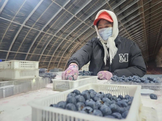 赤峰敖漢洋洋鐵藝廠電話是多少-第1張圖片