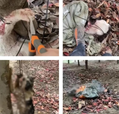 赤峰小猴子辣條電話號(hào)碼查詢-第1張圖片