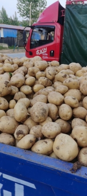 赤峰薯塔經(jīng)銷(xiāo)商電話號(hào)碼-第1張圖片