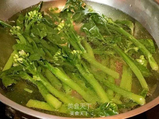 赤峰白芍生菜種植基地電話號碼-第1張圖片