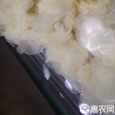 赤峰彩色蝦片批發(fā)電話多少號-第1張圖片